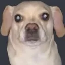 wut