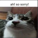ahsosorry