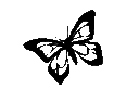 ay_butterflylil