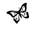 ay_butterflylil