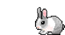 awh_bunnyhop