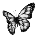 awh_butterflyblack