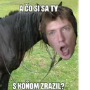 fifqo