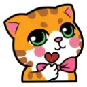 cat_heart_hand