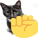 5448raisefistcat Discord Emoji
