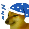 cheemsleep