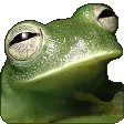 frog_chill Discord Emoji