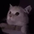 lightsOn