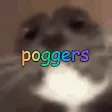 POGGERS