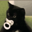 z_acat