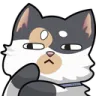 catsus