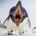 cutepenguin