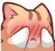 Shy Cat shy_cat Discord Emoji