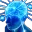 bigbrain