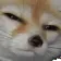 FoxStareSuspicious Discord Emoji