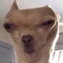 kw_wot Discord emoji
