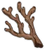 coral_branch_of_a_distant_sea