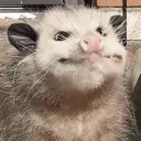 possyumhyper possyumhyper