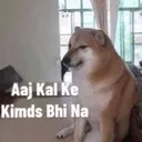 RNX_doge_kemds RNX_doge_kemds
