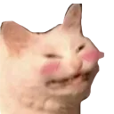 catblush