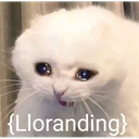 lloranding_LBL Discord emoji