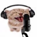 kittystar Discord emoji