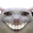 Sus_Catremovebgpreview Discord Emoji