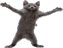 catgroove_dontsteal Discord emoji