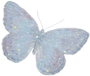 a_butterfly_dontsteal Discord emoji