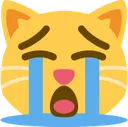 cat_sob
