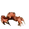 CrabRave