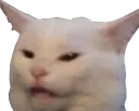 catangry1