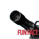 funfact1 funfact1