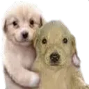 MaauHug