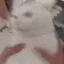 die die