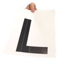 y_taketheL Discord emoji