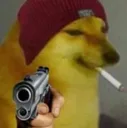 DogeGun