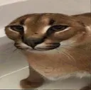 kms kms
