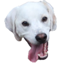 Zer0 Discord emoji