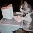chatting chatting