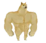 buffdoge