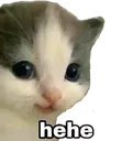 hehe Discord Emoji