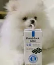 DumbJuice