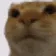 CatAwk