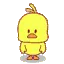 BVB_38