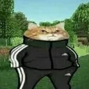 rk_Gato