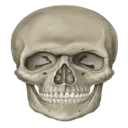 skullreal
