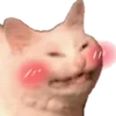 catblush catblush