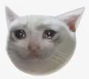 1041047042_cryingcat181kbcryingc Discord Emoji