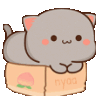 Kittybox Discord Emoji